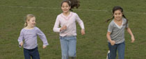 School Health, Environment & Safety