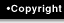 Copyright